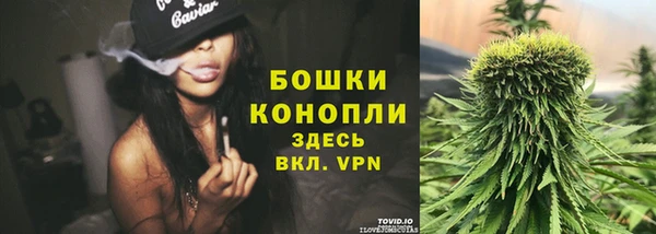 скорость Пестово