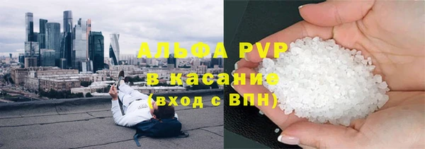 стафф Осинники