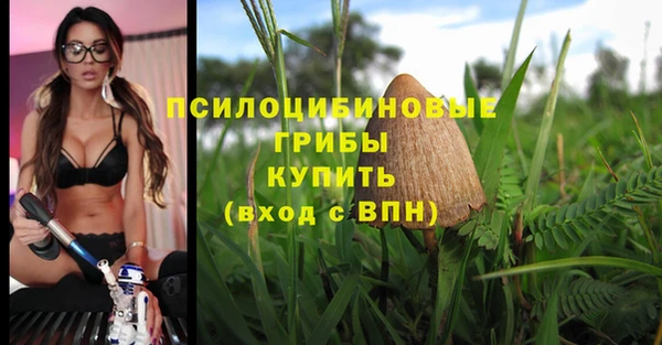 скорость Пестово