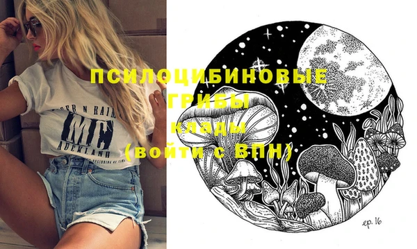 скорость Пестово