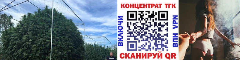 Дистиллят ТГК вейп с тгк  Судогда 