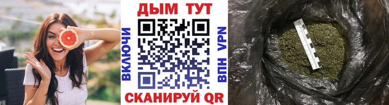 купить наркоту  Судогда  Бошки Шишки MAZAR 